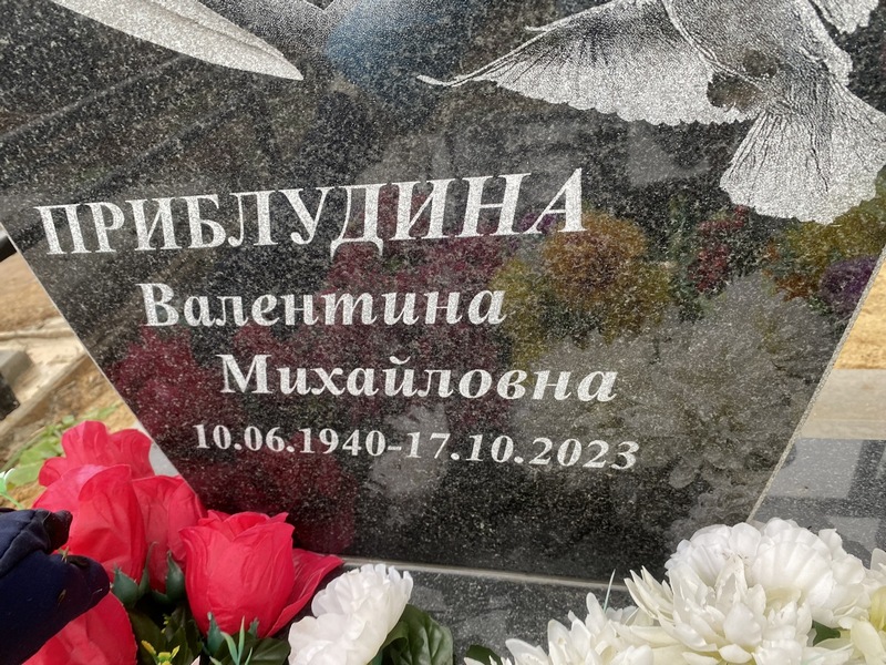 Приблудина