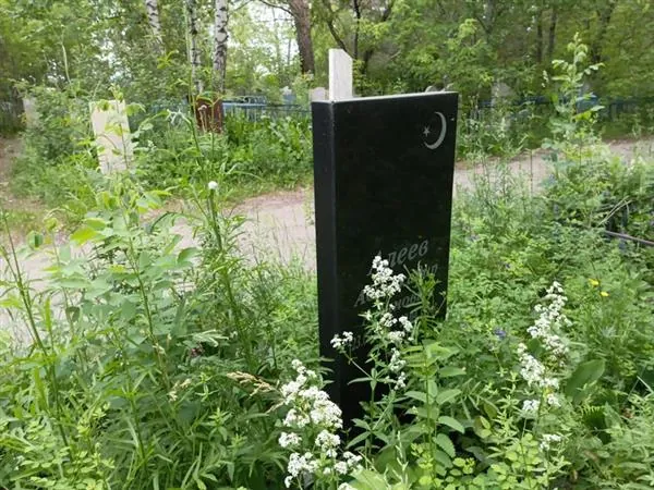 Алеев Абдулкадир