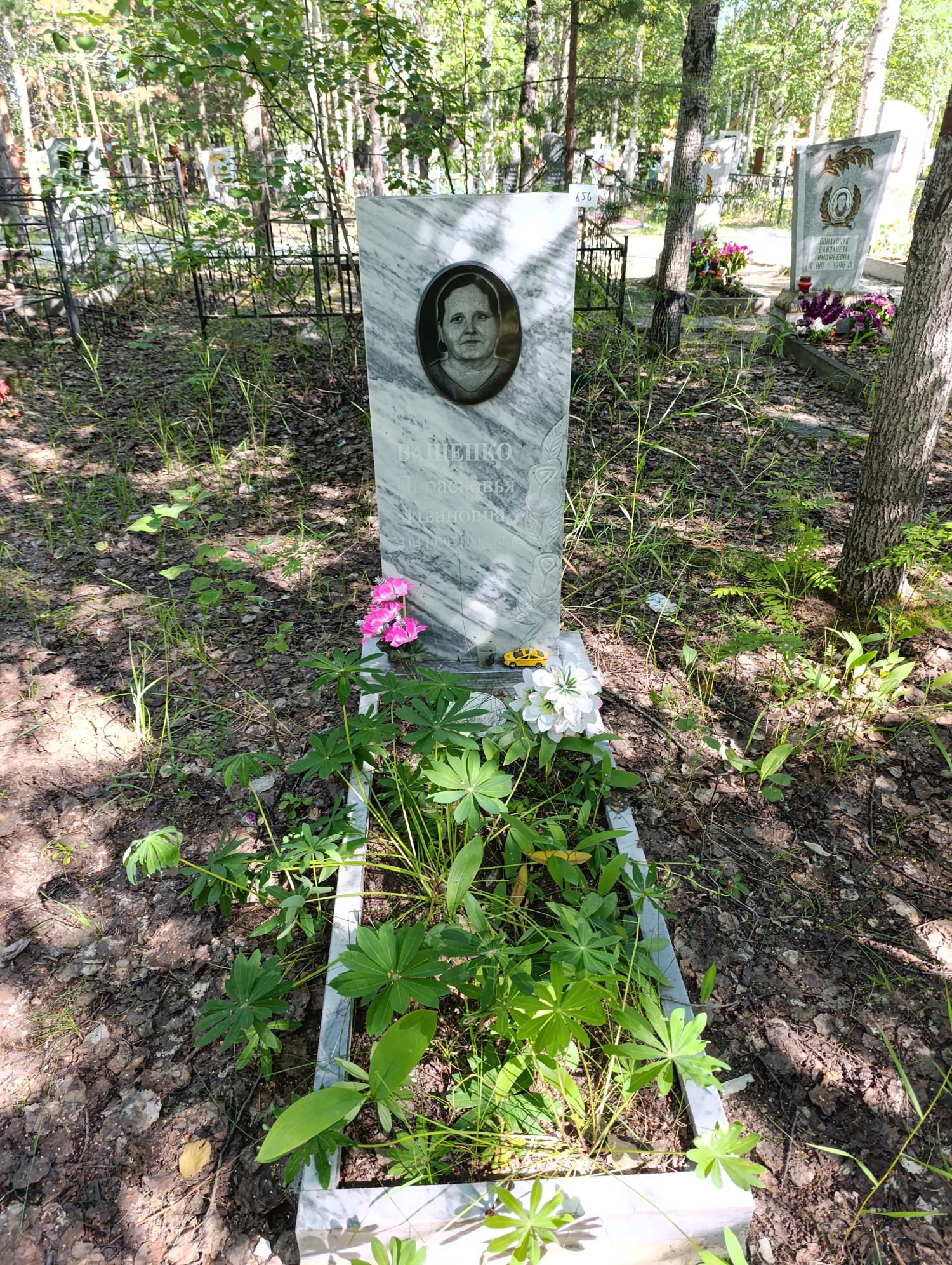 Ващенко Парасковья Ивановна