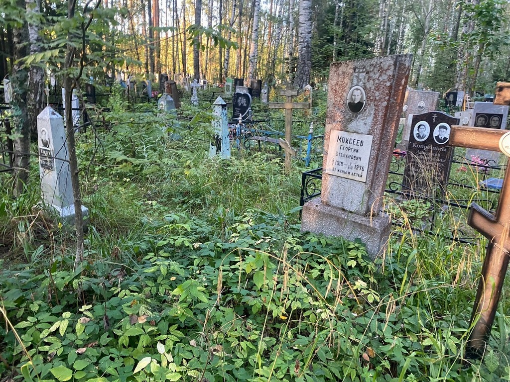Моисеев Георгий Степанович