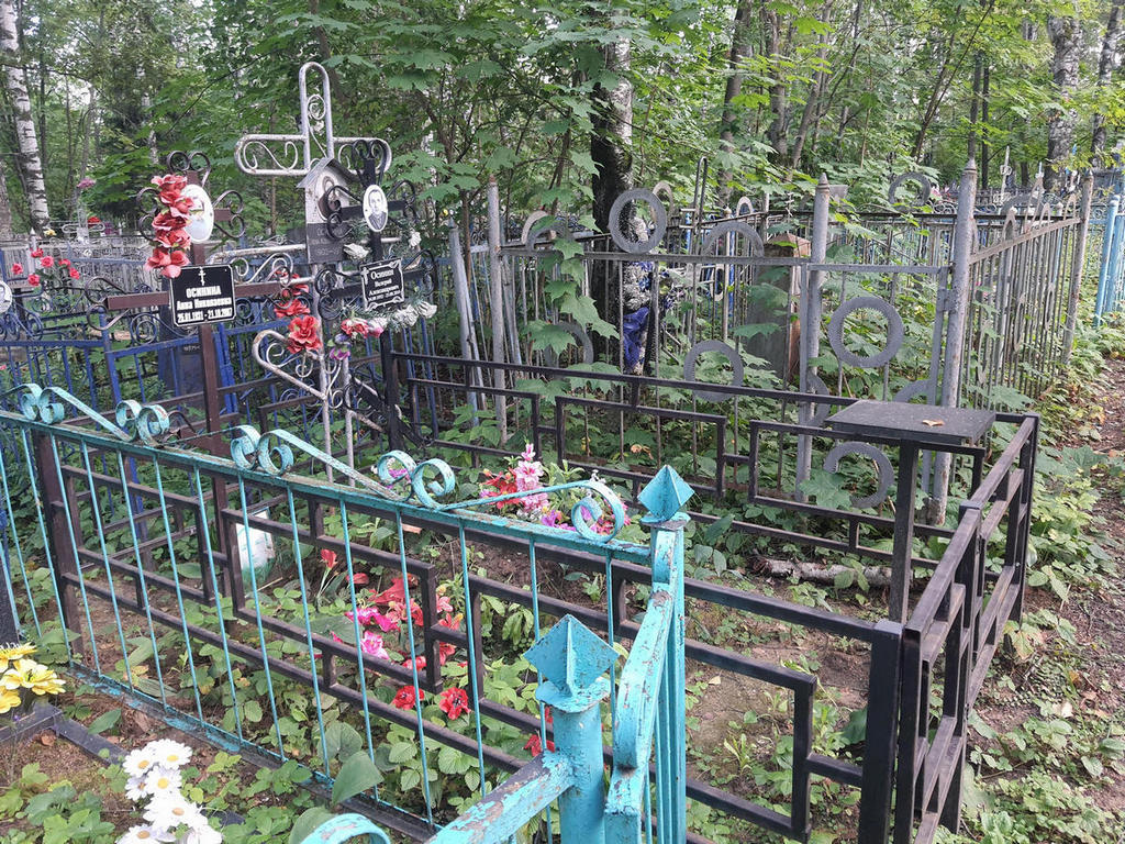 Осинина Анна Николаевна