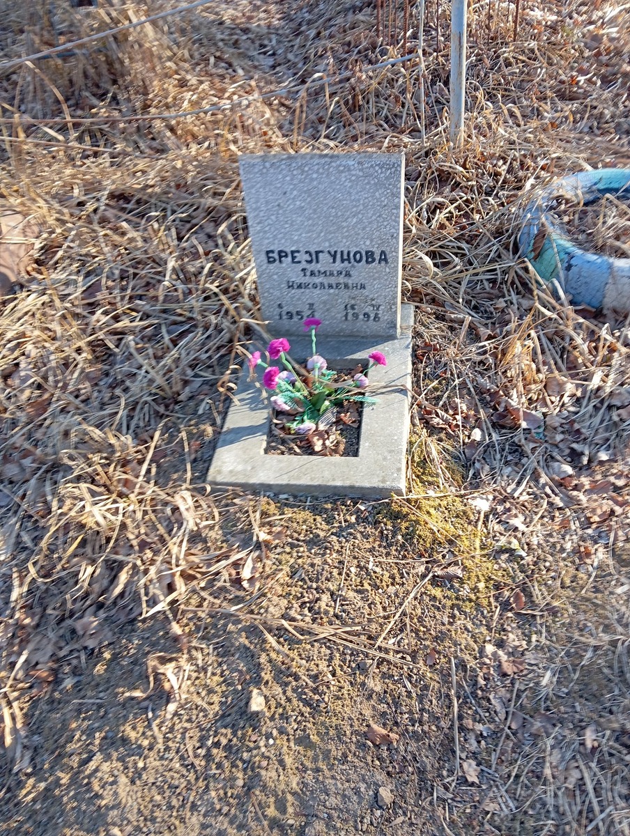 Брезгунова Тамара Николаевна