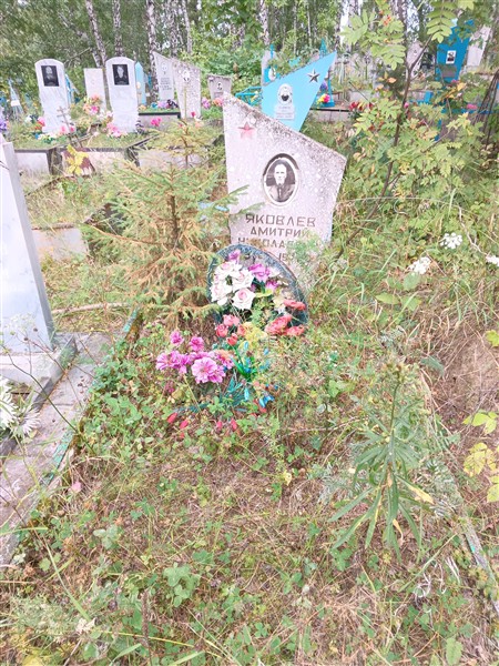 Яковлев Дмитрий Николаевич
