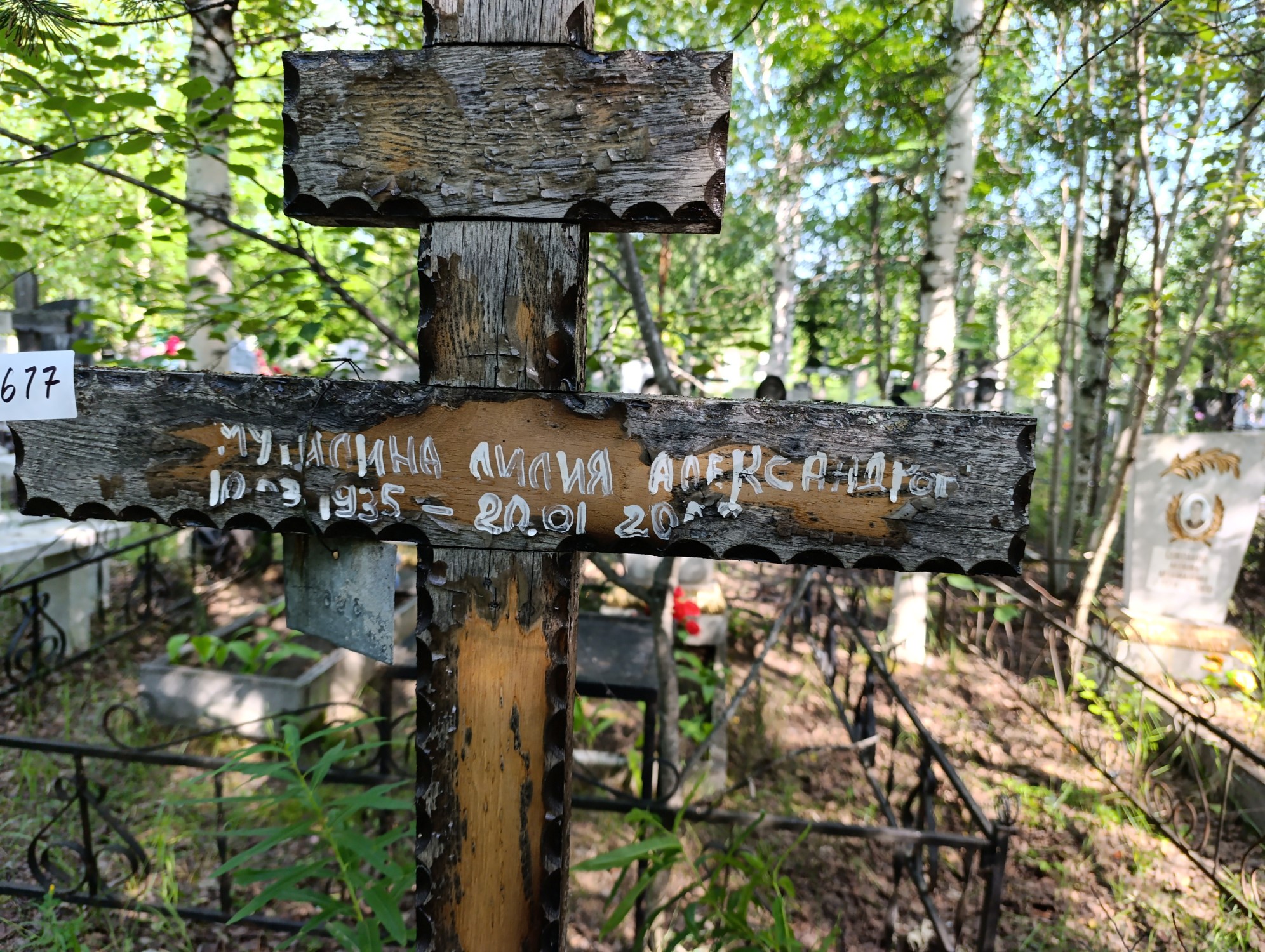 Мутилина Лилия Александровна