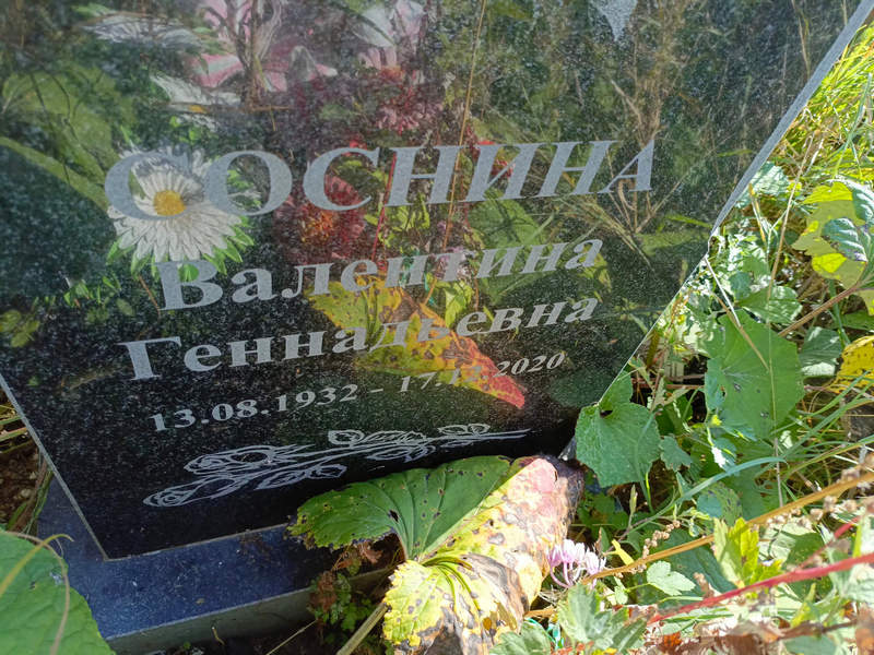Соснина