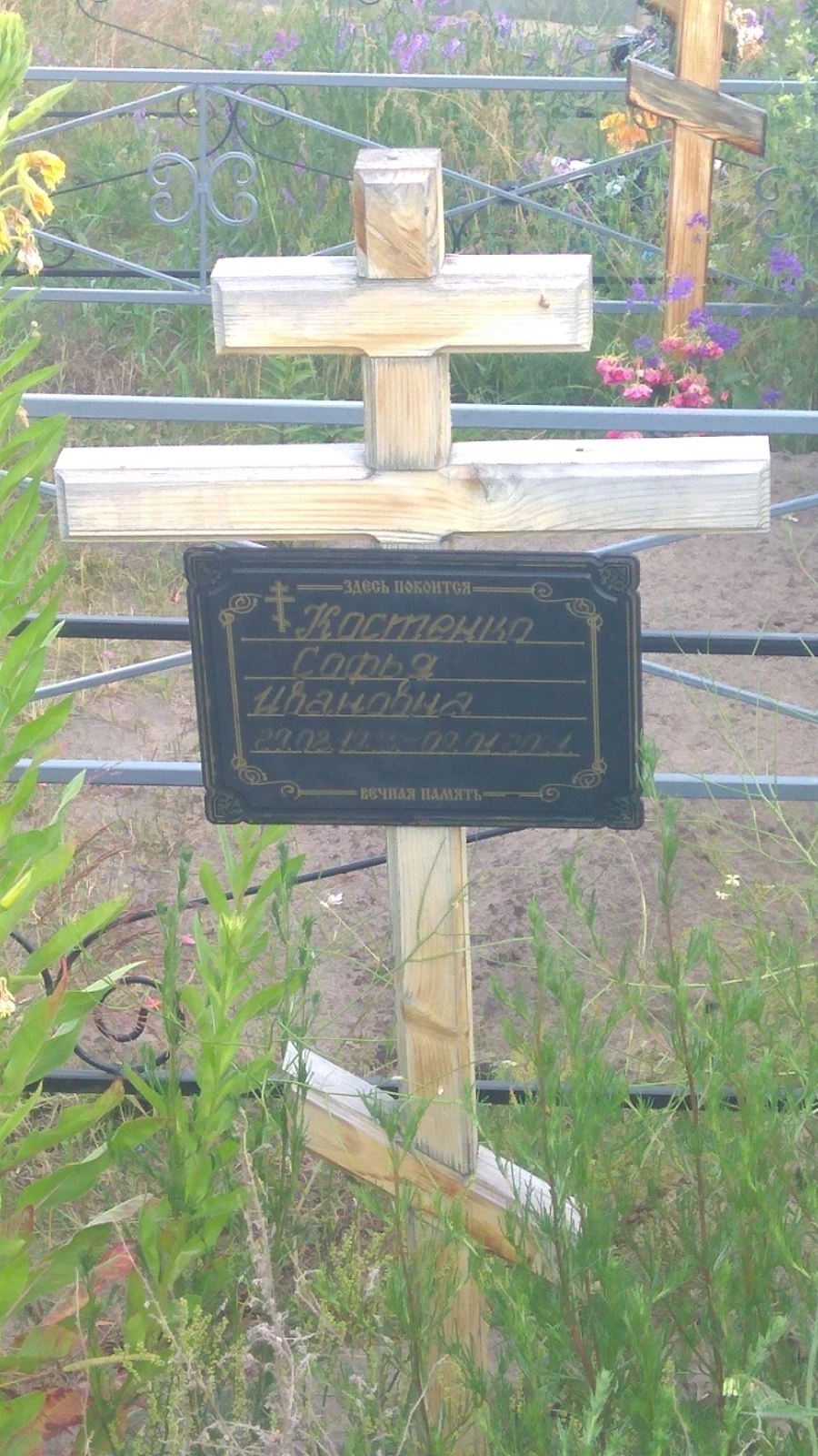 Костенко Софья Ивановна