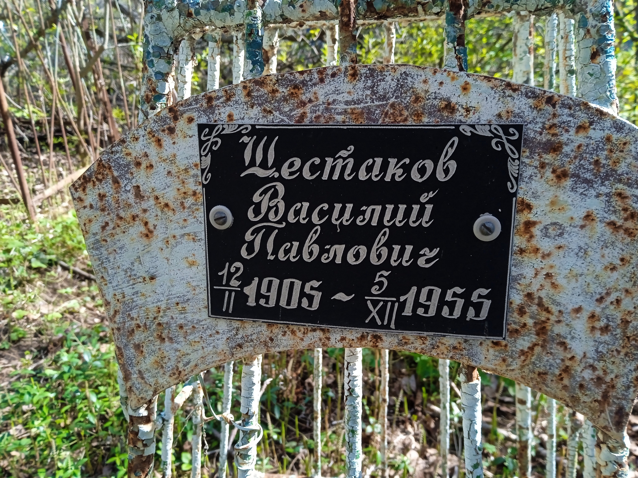 Шестаков Василий Павлович