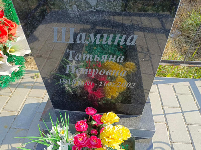 Шамина