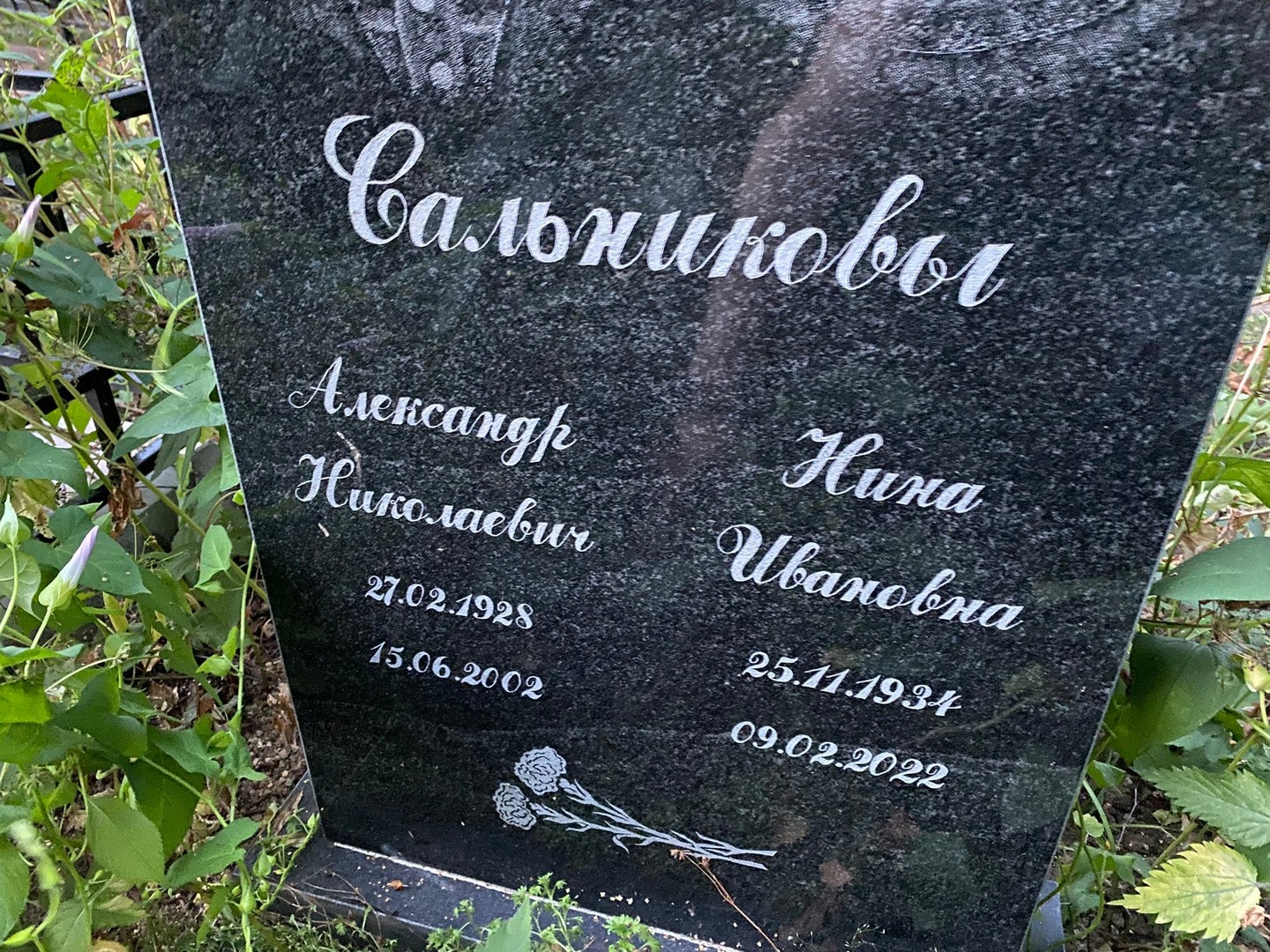 Сальников