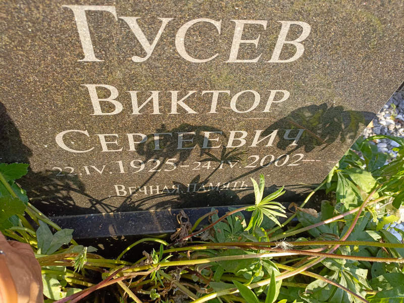 Гусев