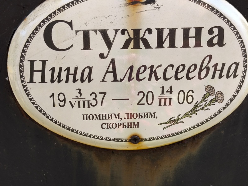 Стужина
