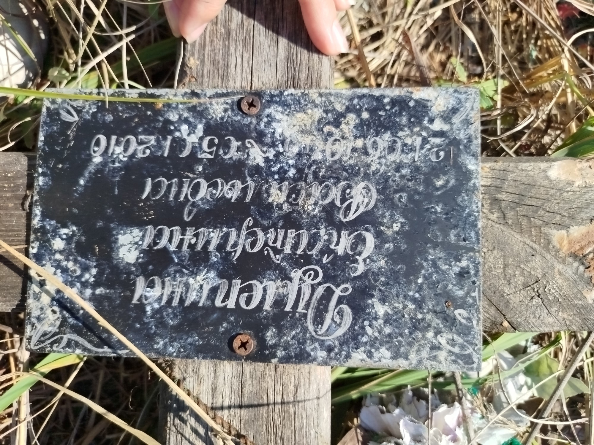 Дулепина Екатерина Васильевна