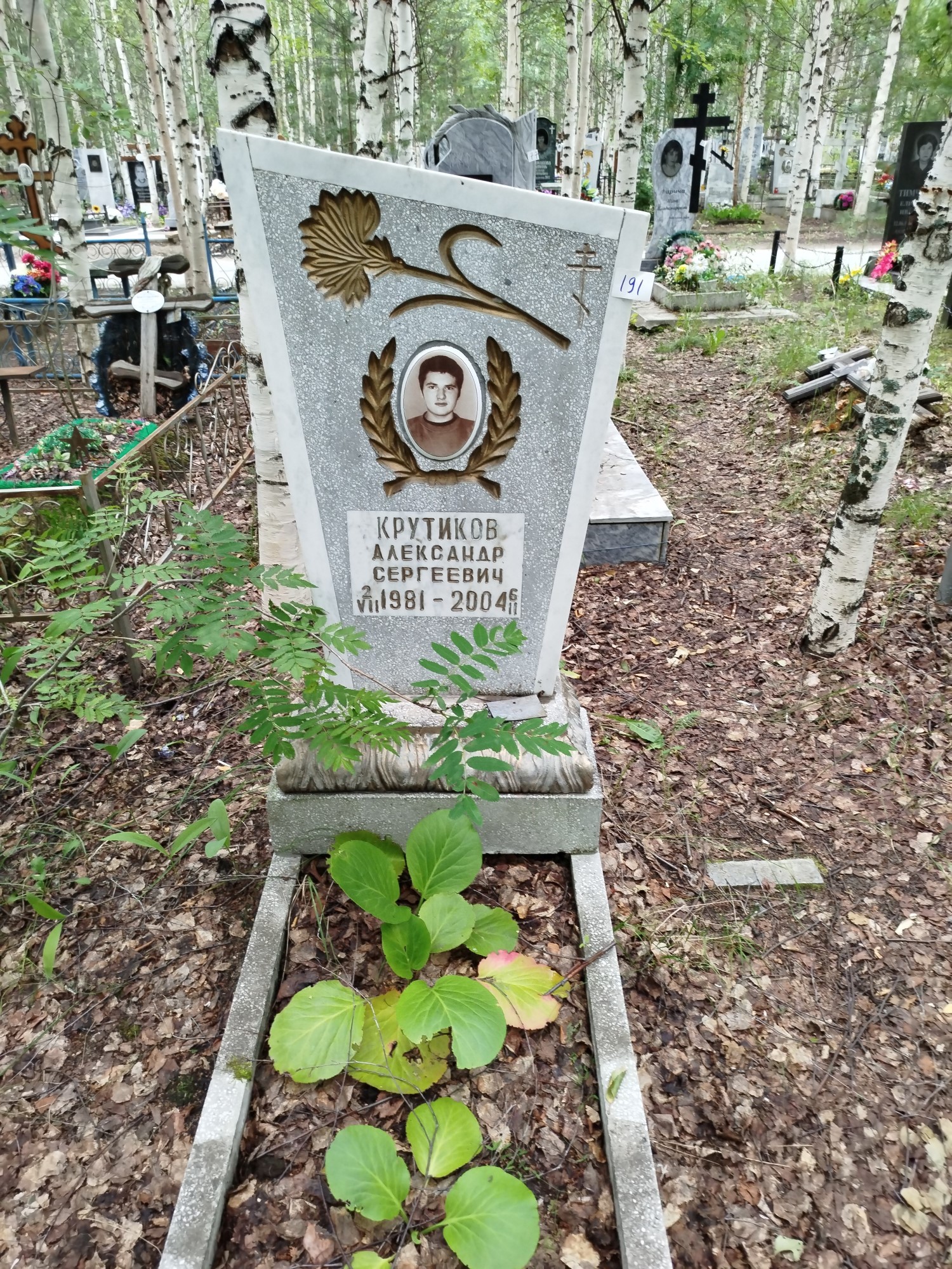 Крутиков Александр Сергеевич