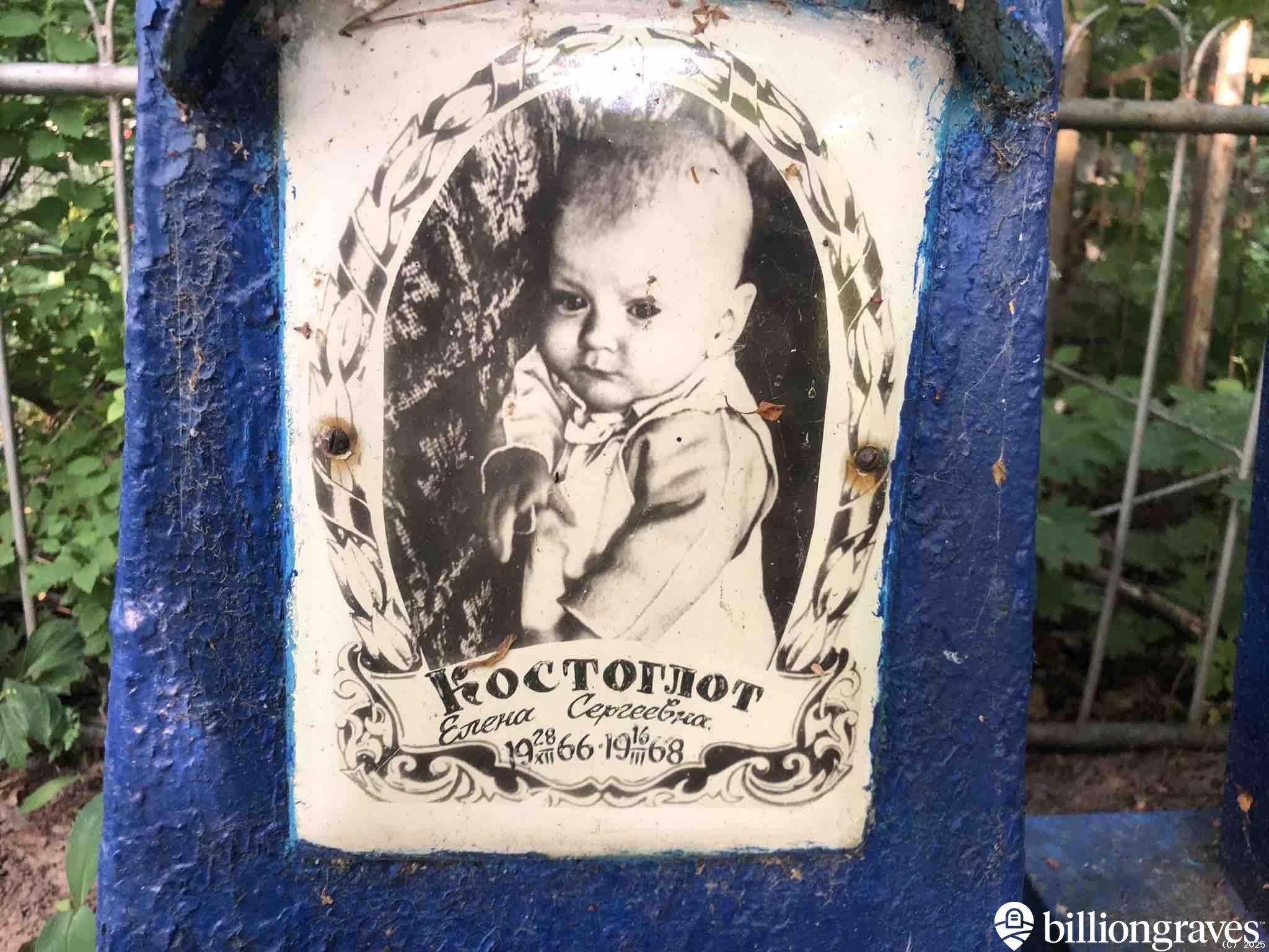 Костоглот Елена Сергеевна