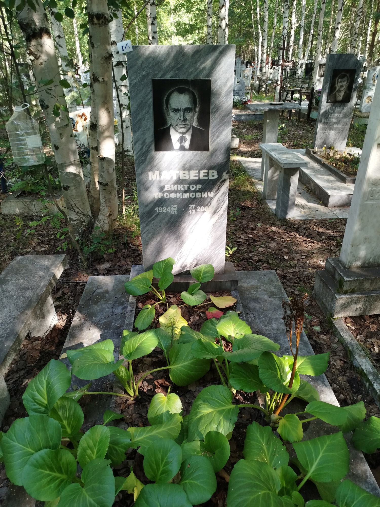 Матвеев Виктор Трофимович