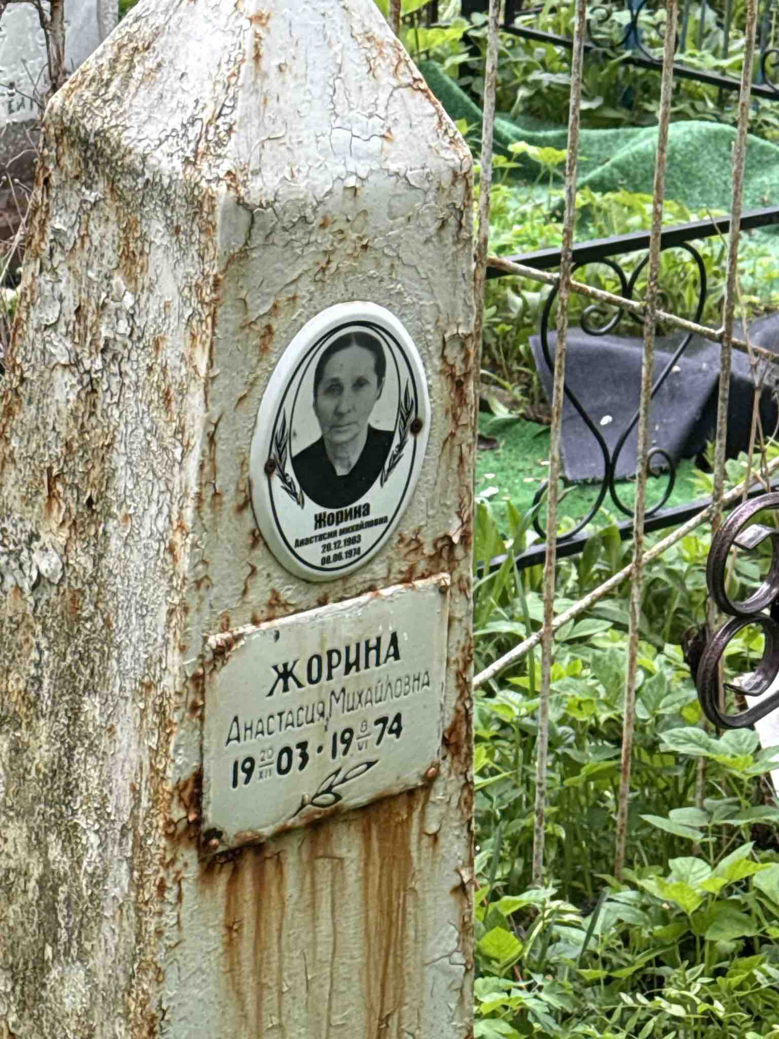 Жорина Анастасия Михайловна