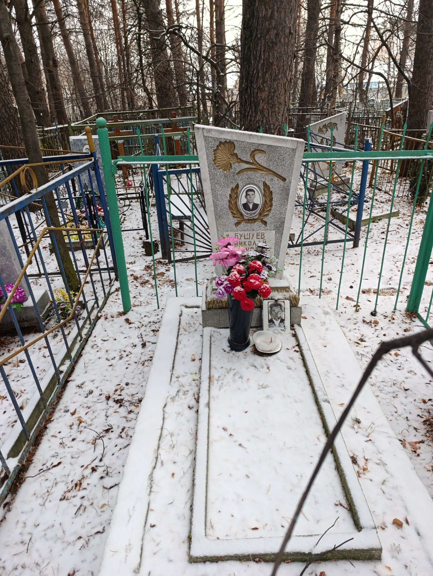 Бушуев Николай Иванович