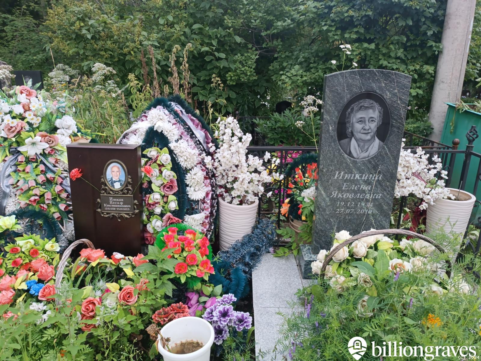 Иткина Елена Яковлевна