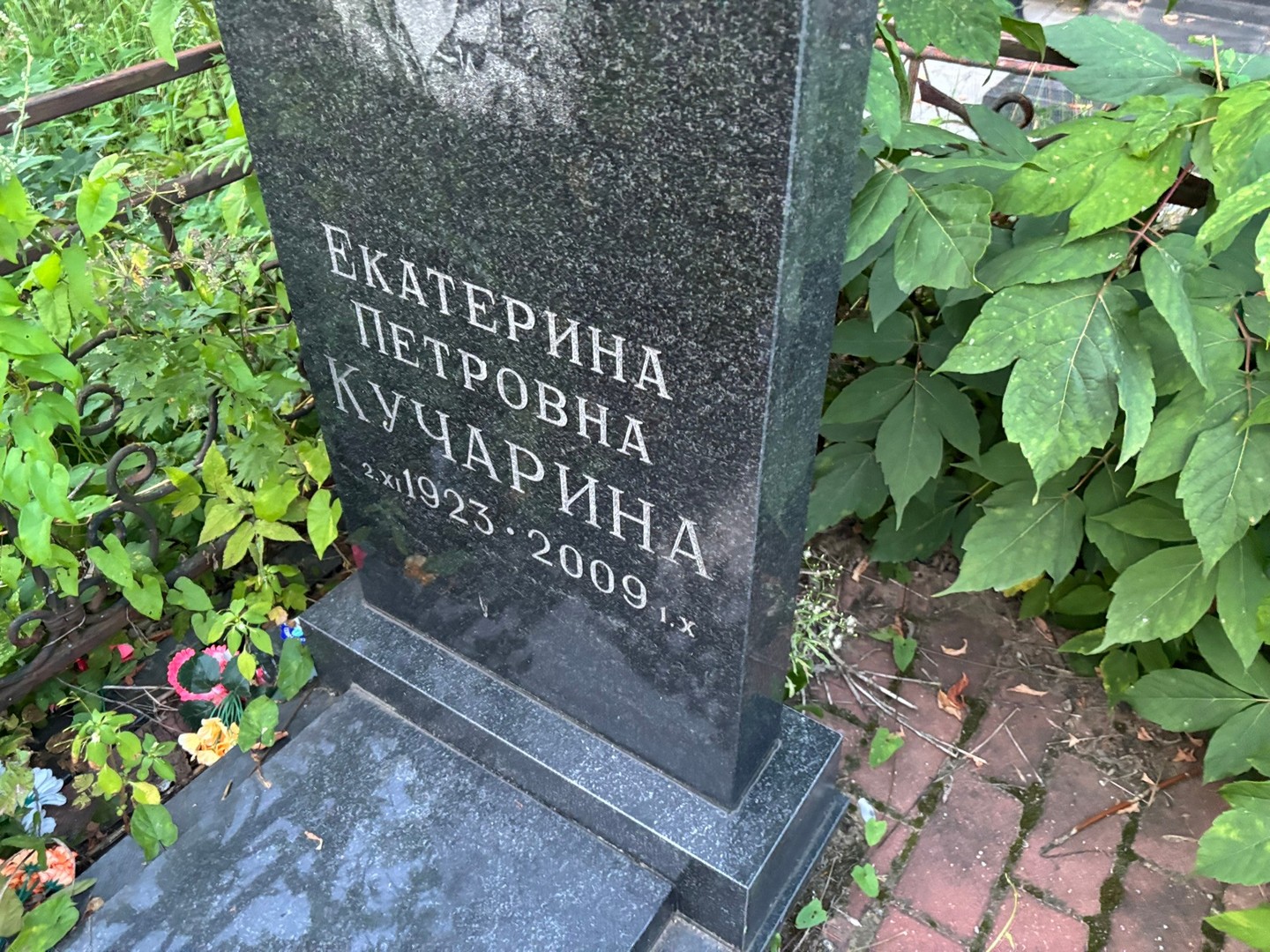 Кучарина