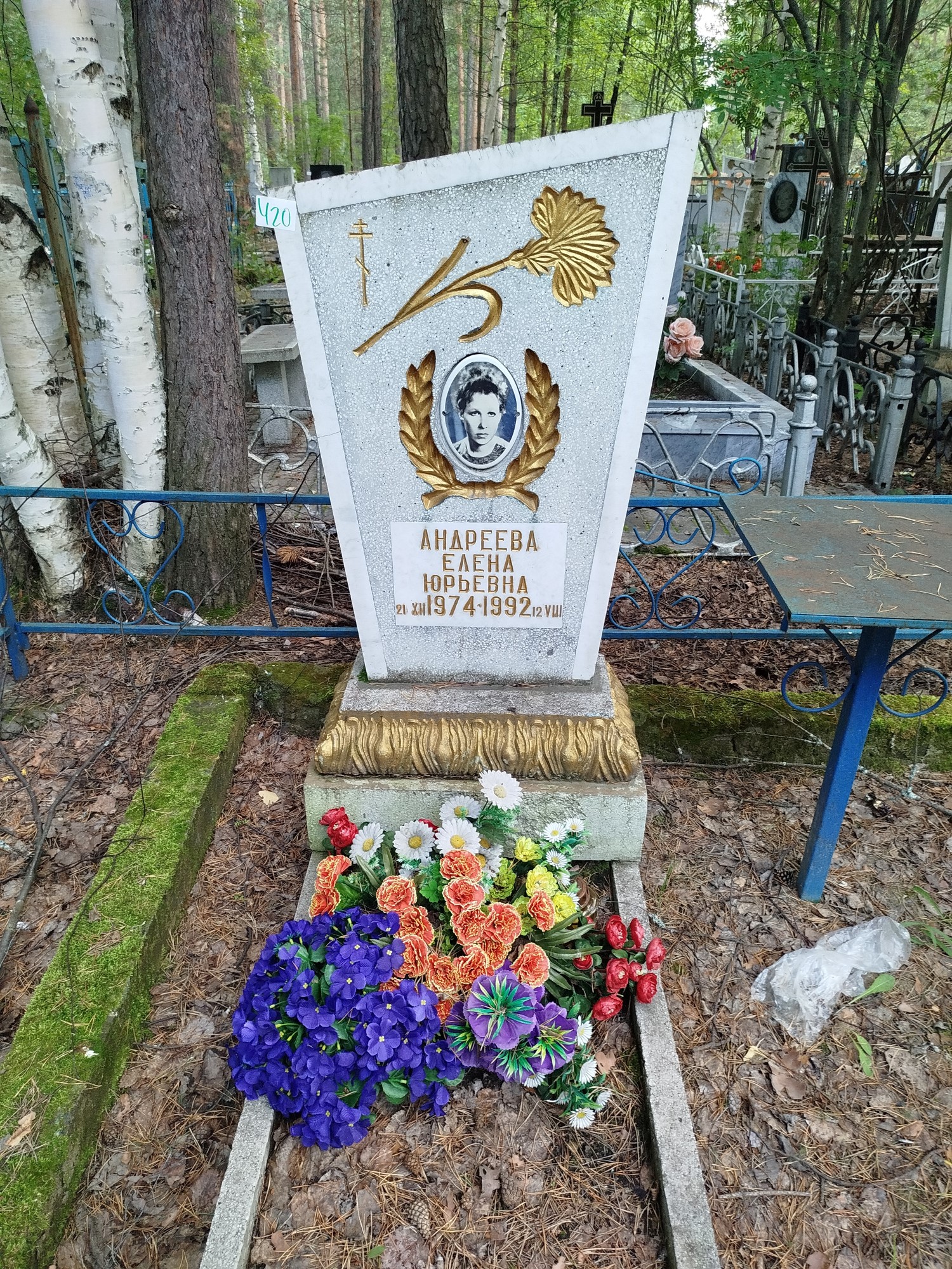 Андреева Елена Юрьевна