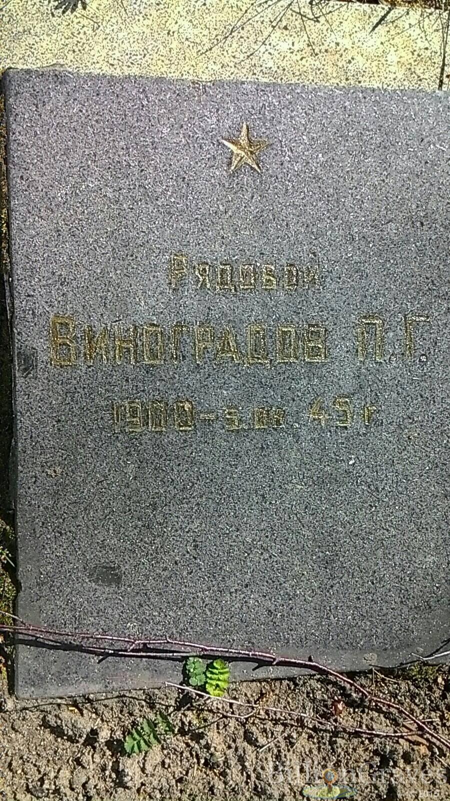 Виноградов П.Г.