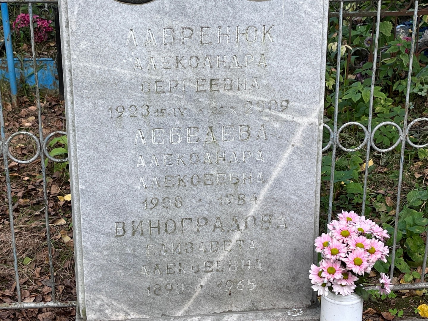 Александра Лавренюк Сергеевна