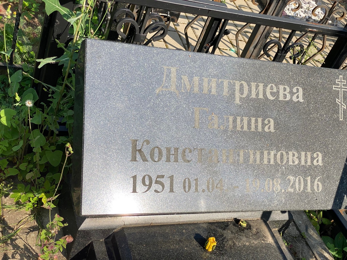 Дмитриева
