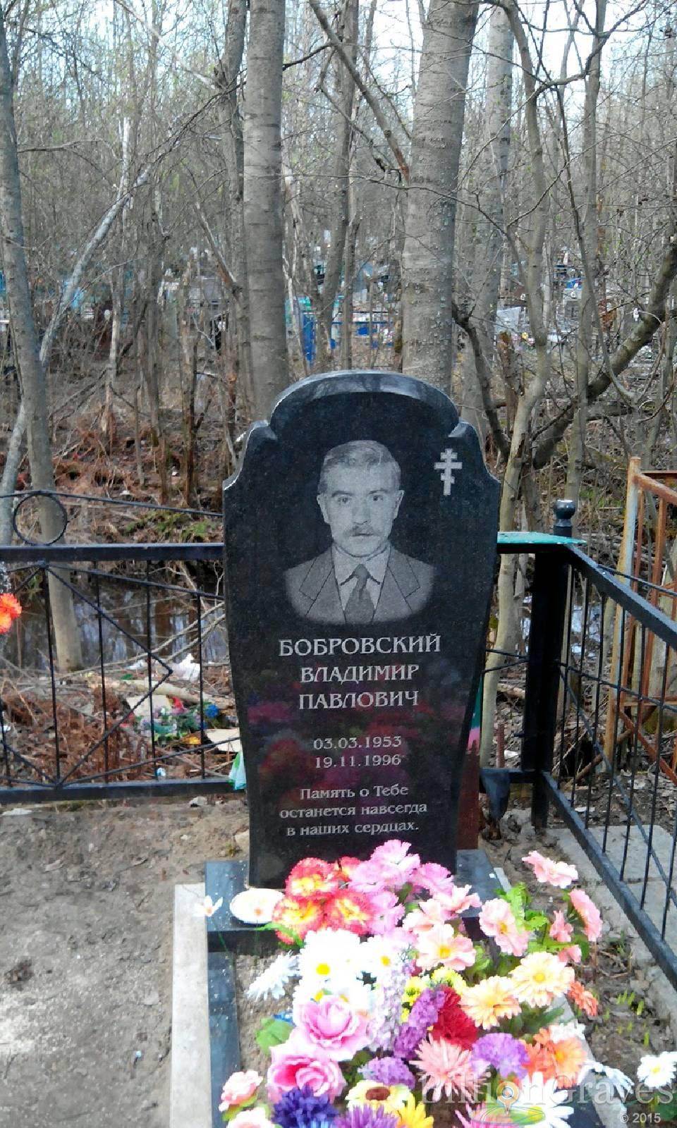 Бобровский Владимир Павлович
