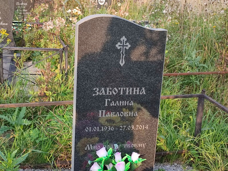 Заботина