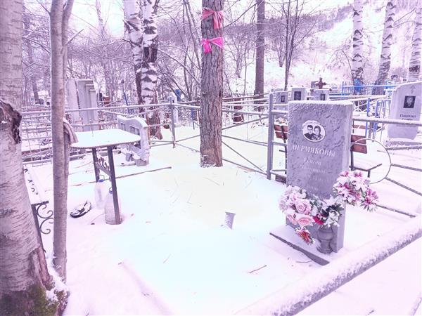 Швецов Анатолий Александрович