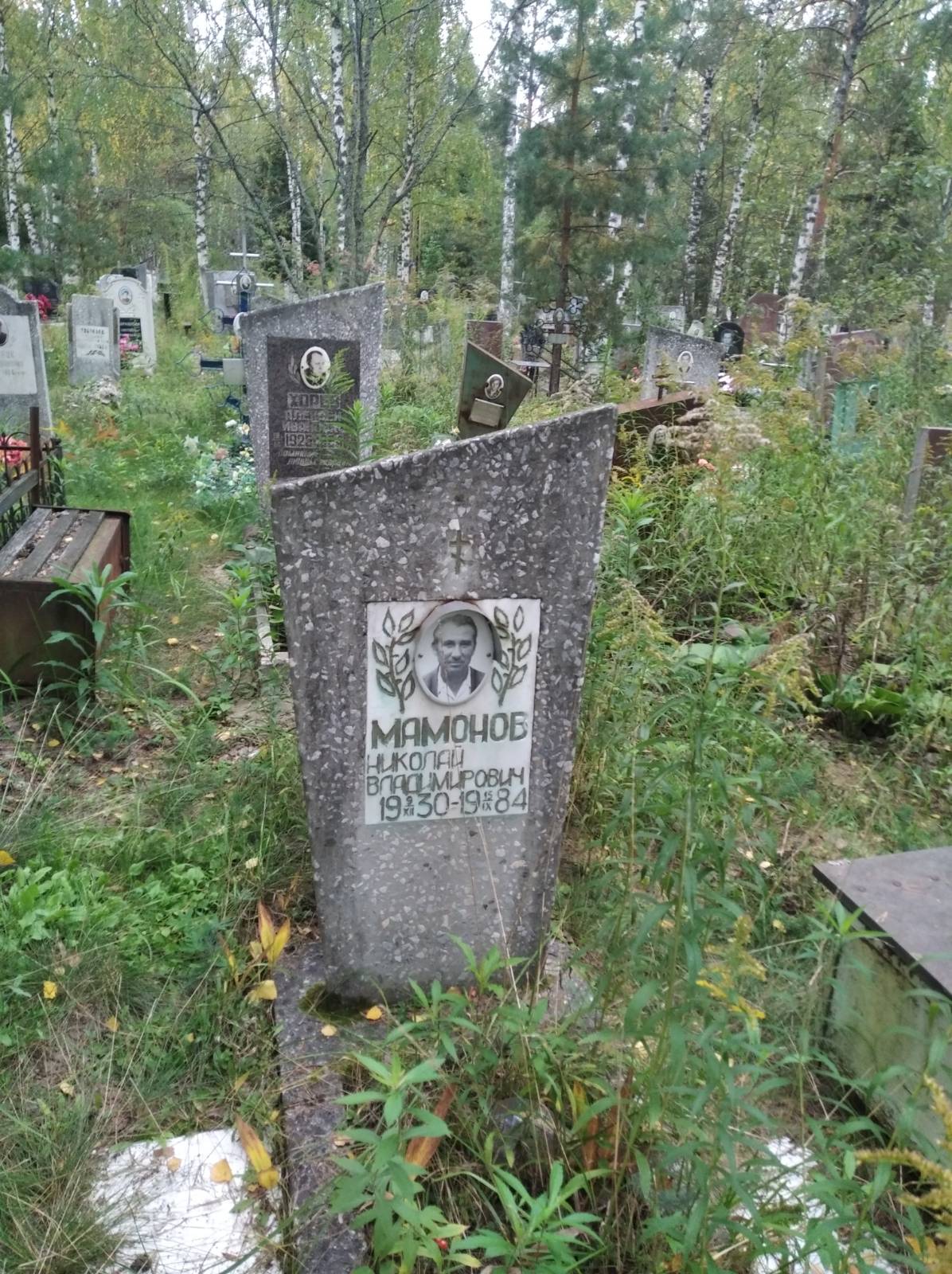 Мамонов Николай Владимирович