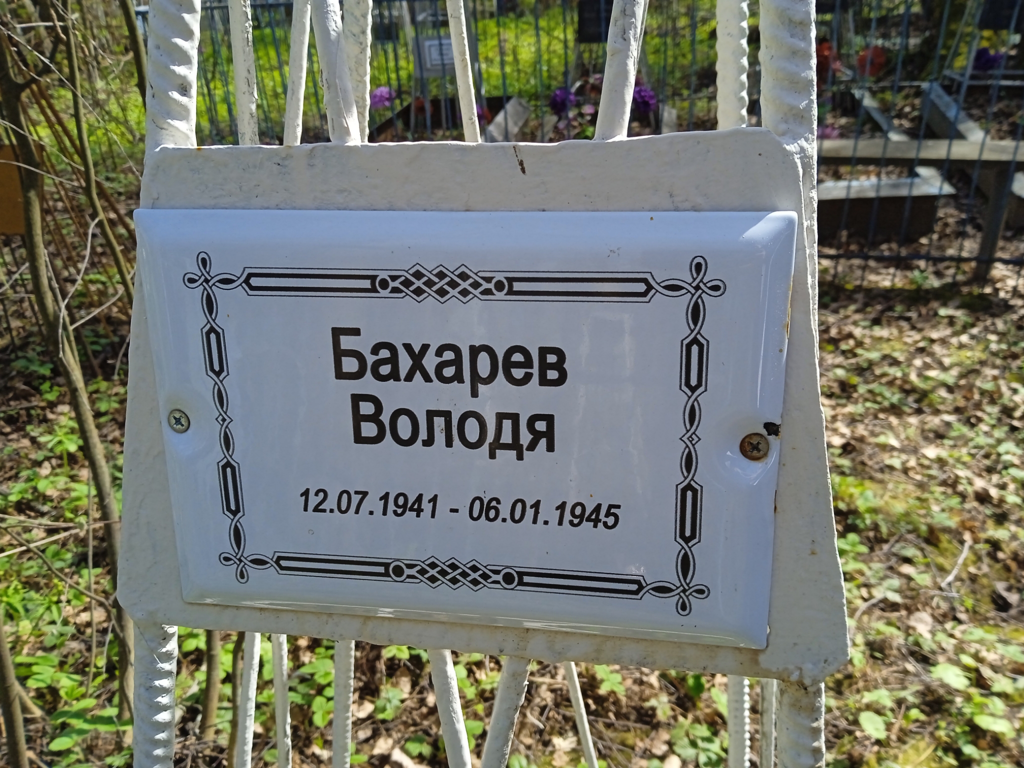 Бахарев Володя