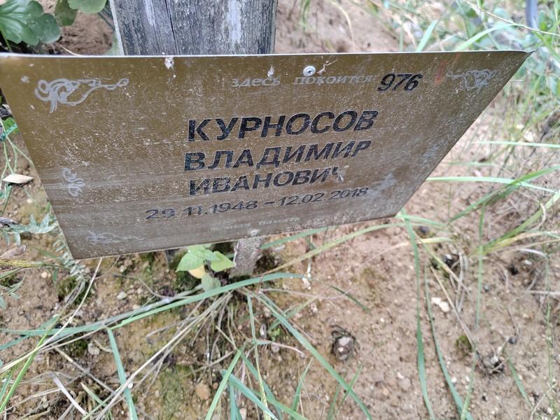 Курносов