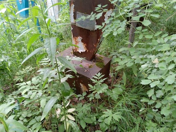 Шаходанова Анна Ивановна