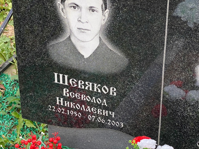 Всеволод Шевяков Николаевич