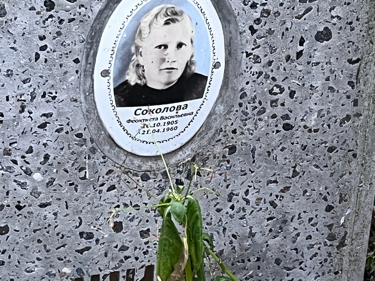 Феоктиста Соколова Васильевна