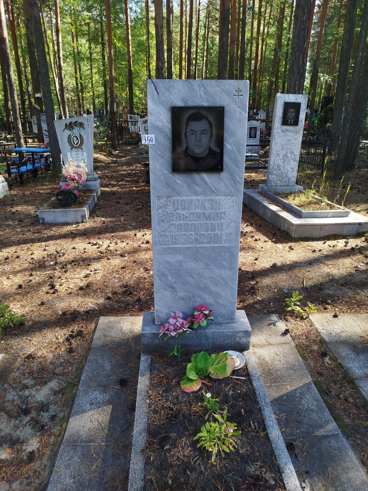 Цвиркун Владимир Павлович