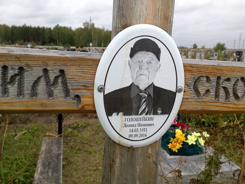 Голошейкин