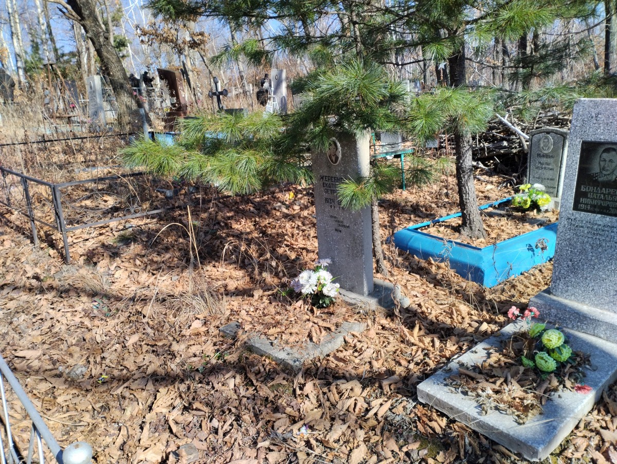 Жеребнова Екатерина Петровна