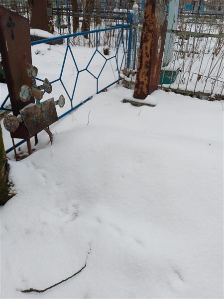 Белобородова Евдокия Крисанфевна