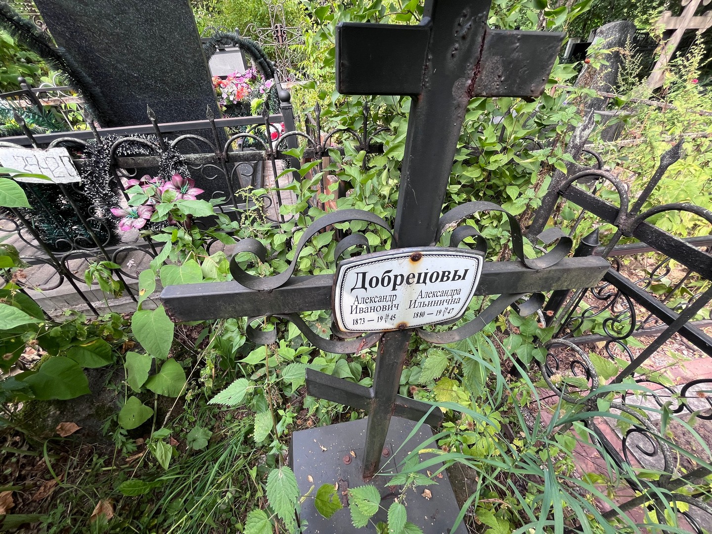 Добрецов