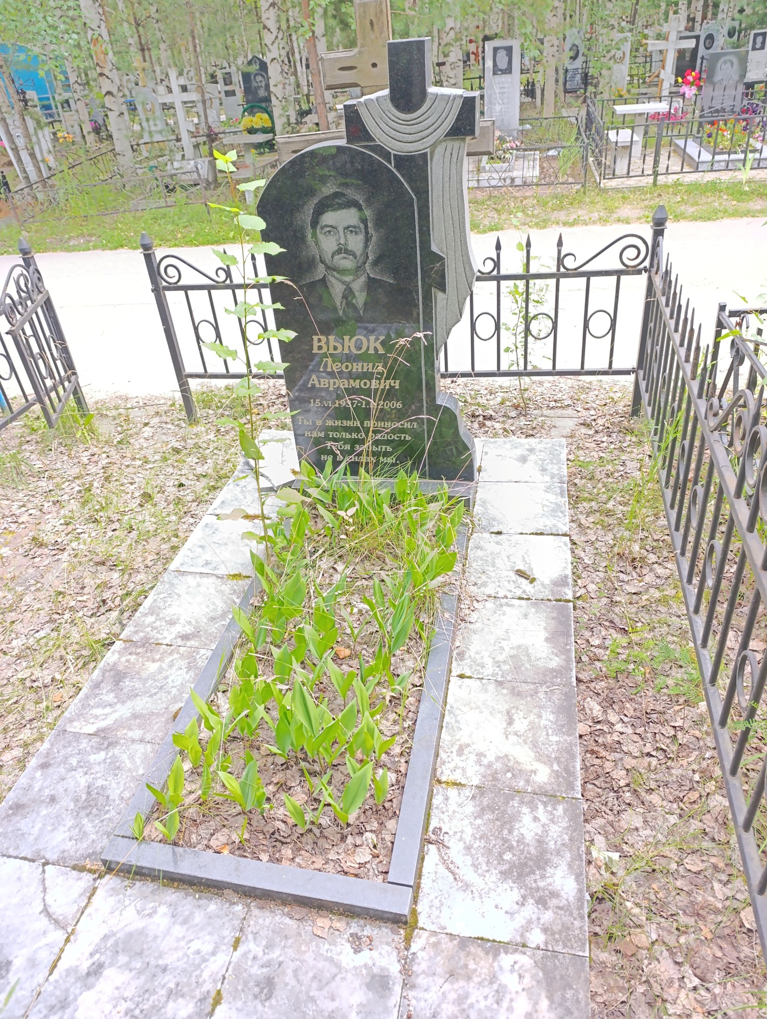 Вьюк Леонид Аврамович