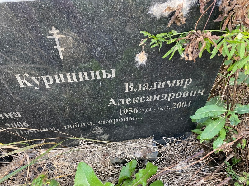 Курицина
