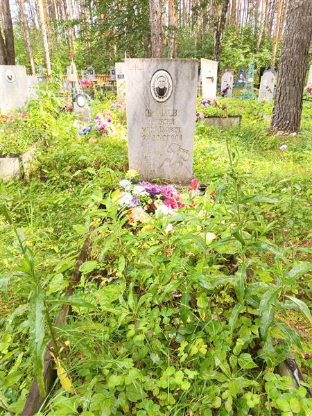 Шамаев Алексей Михайлович
