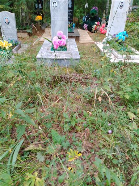 Забалуев Андрей Адольфович