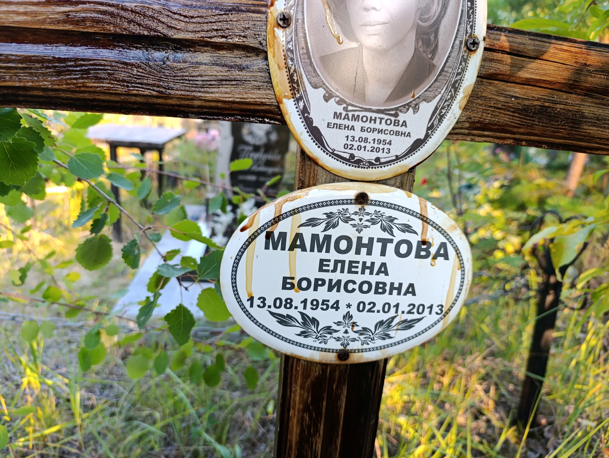 Мамонтова Елена Борисовна
