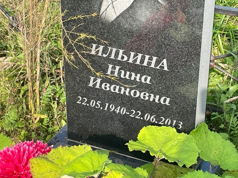 Ильина