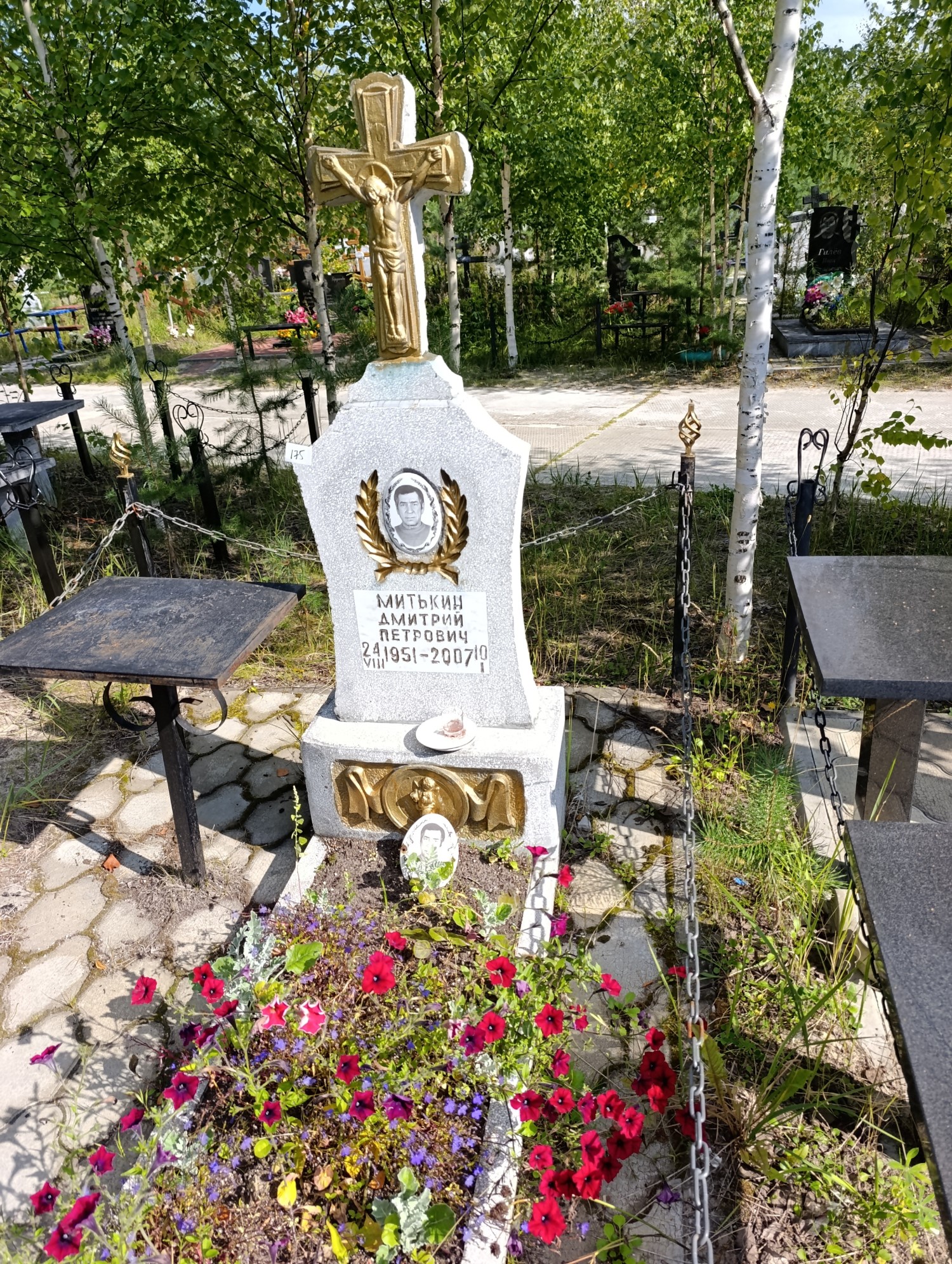 Митькин Дмитрий Петрович