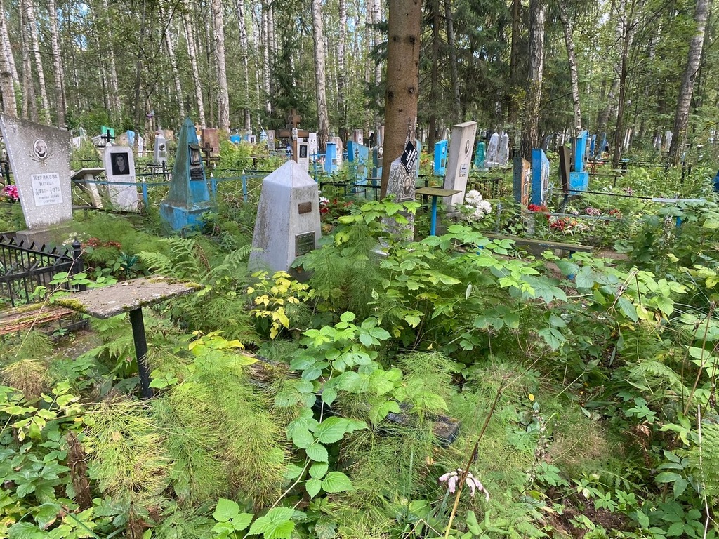 Зеленова Прасковья Николаевна