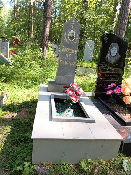 Васильев Л. Е.